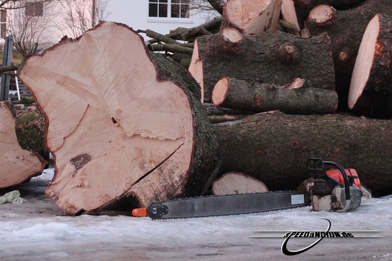 stihl_066_01.jpg